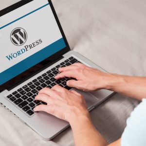 Wordpress Website Developer